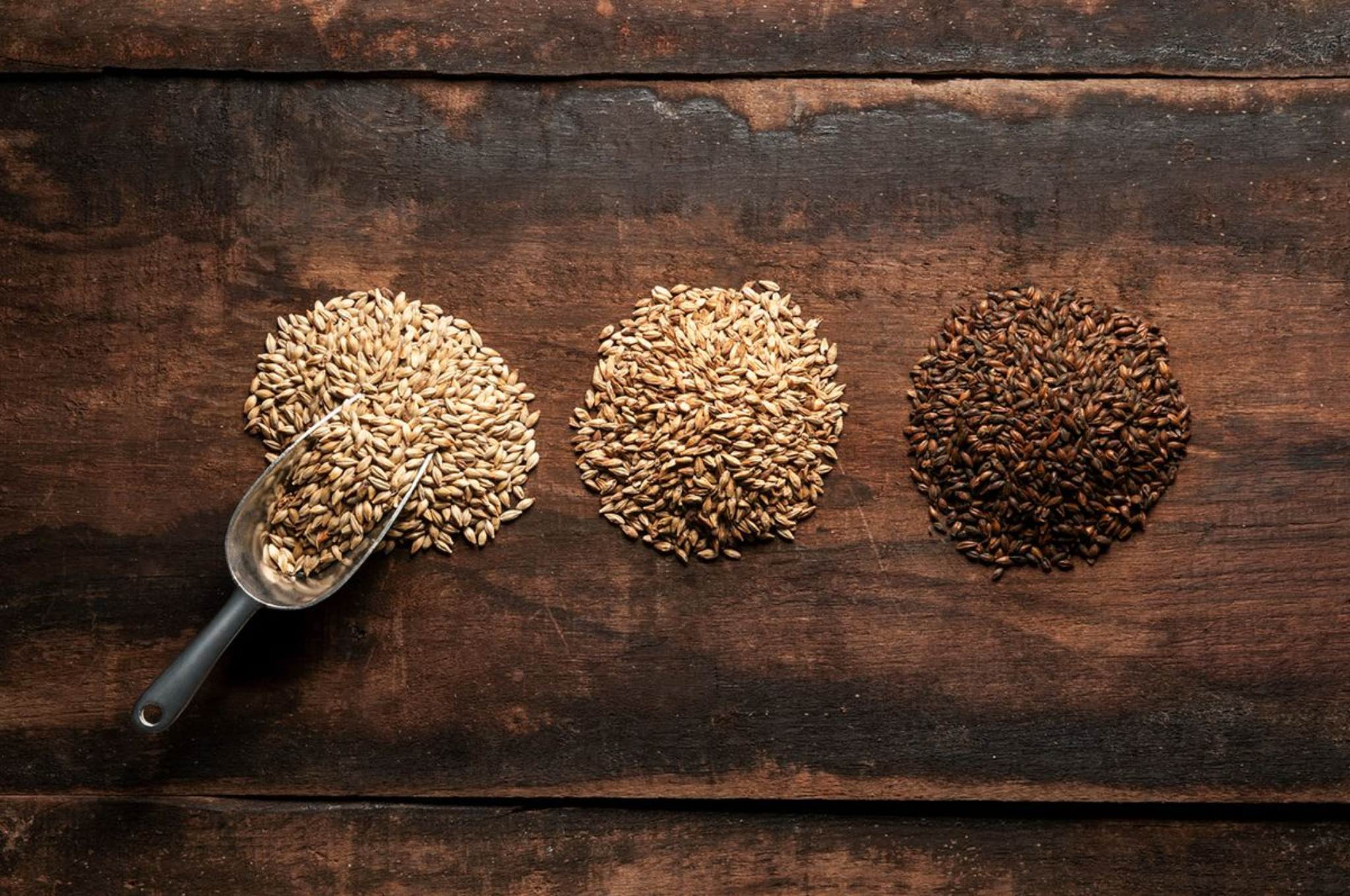 Fermentation & Brewing Ingredients