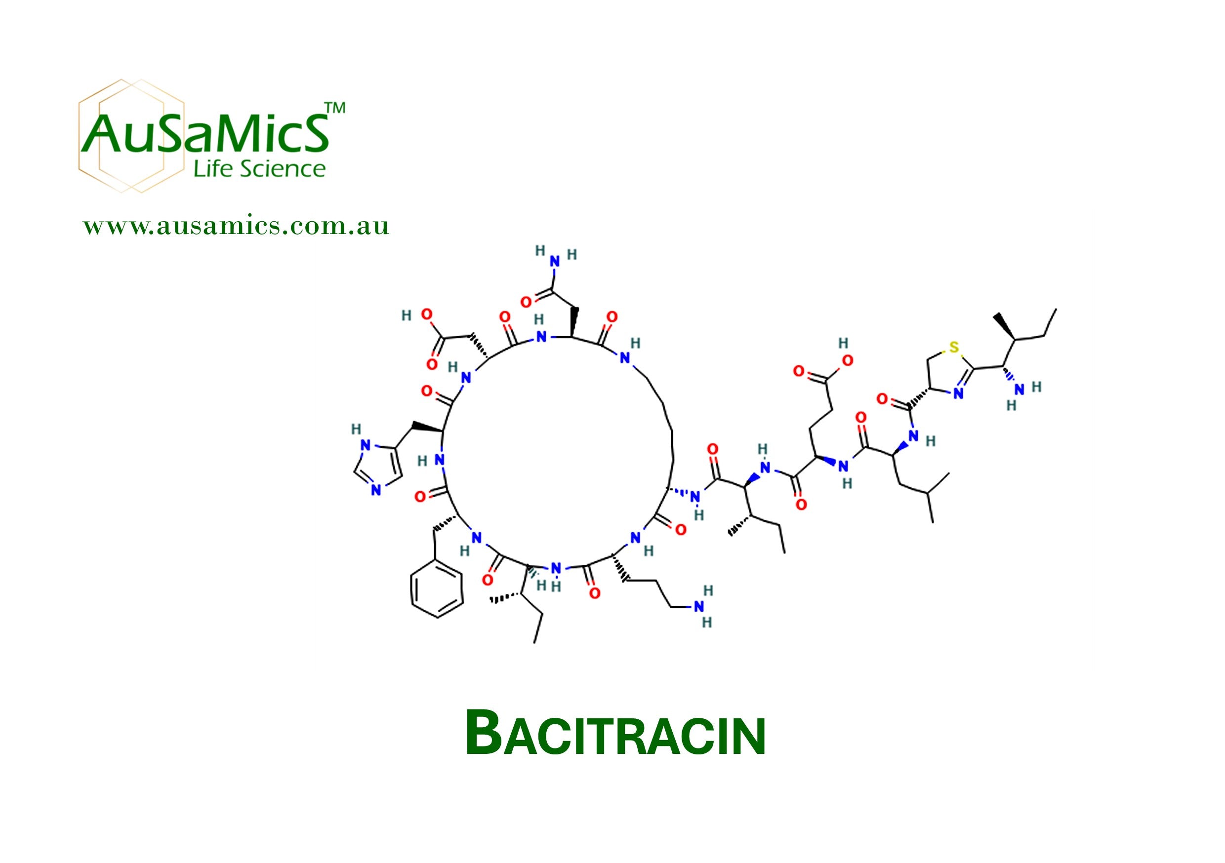 Bacitracin Powder (ASA-2033) | CAS 1405-87-4 | Research Grade