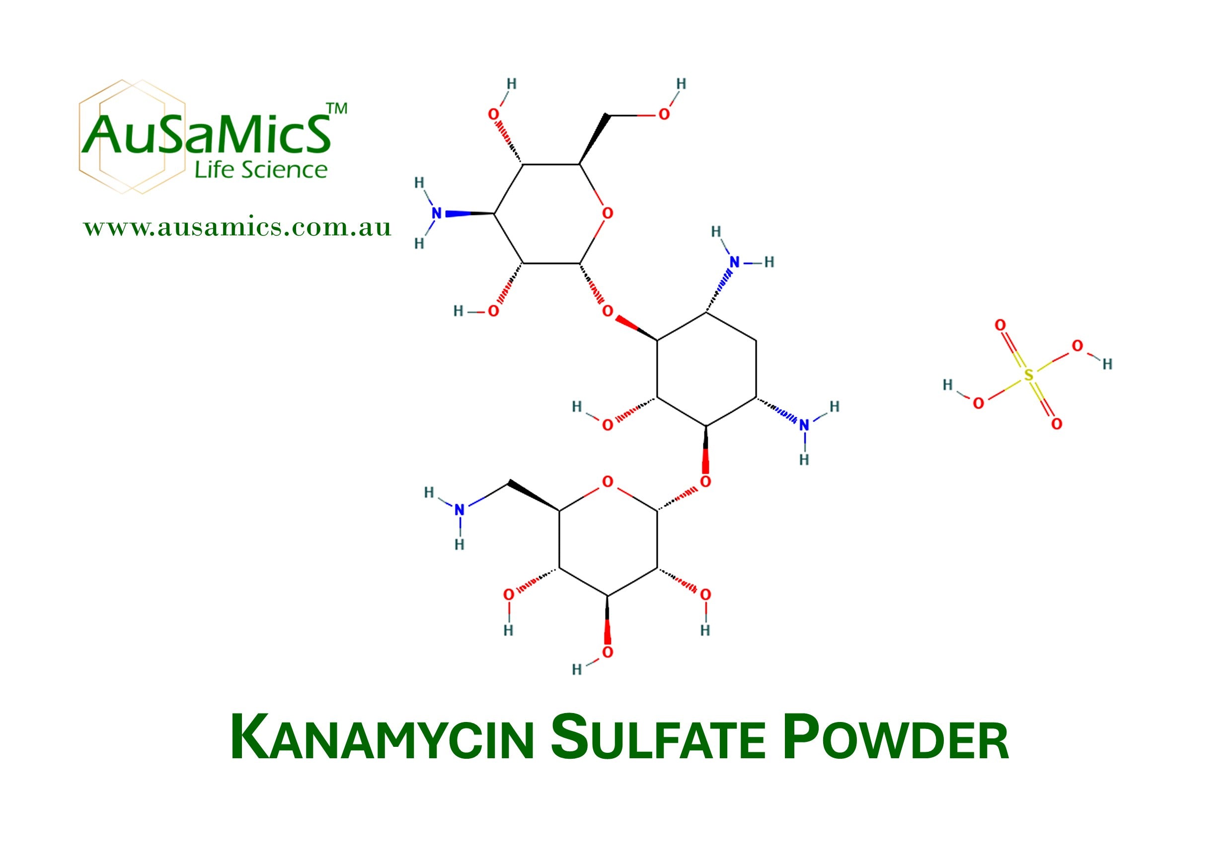 Kanamycin Sulfate Powder – Research-Grade Aminoglycoside Antibiotic