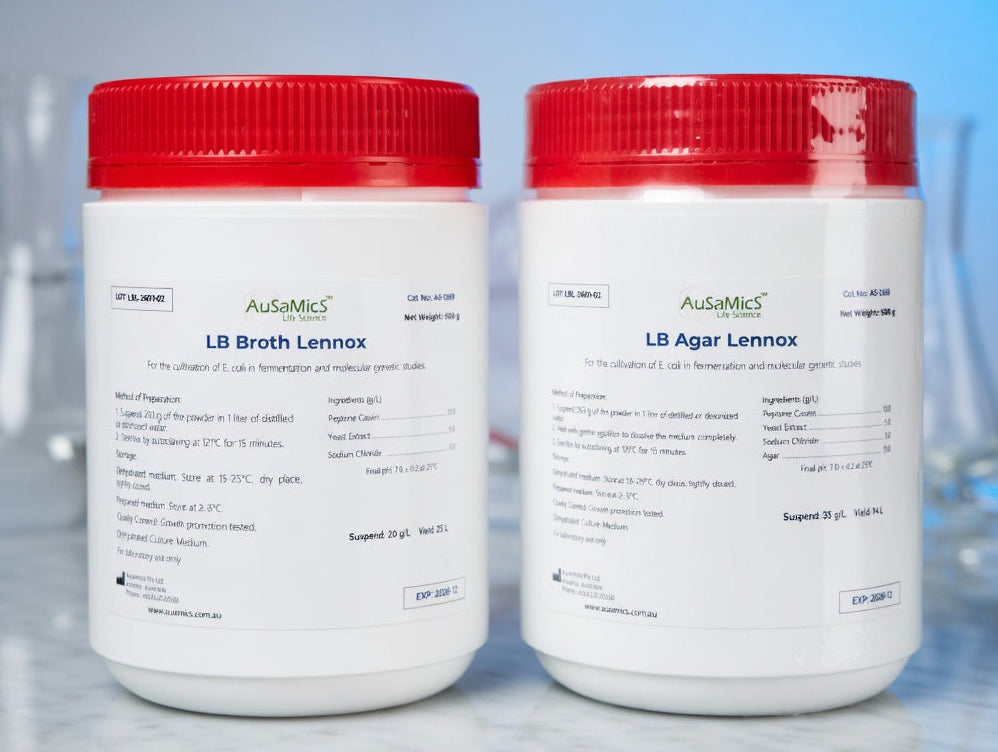 LB Agar (Lennox) plates showing bacterial growth for low-salt E. coli culture in molecular biology laboratory