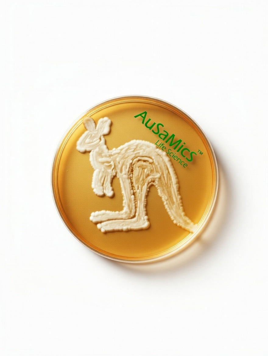 Tryptic Soy Agar TSA CASO Agar dehydrated microbiological culture medium powder for bacterial growth