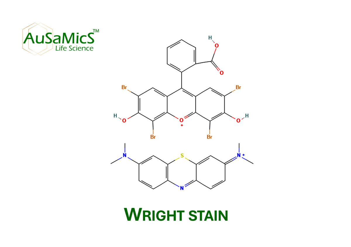 Wraight Stain Wright Stain Powder | Romanowsky Blood Smear Stain | Ausamics – AuSaMicS