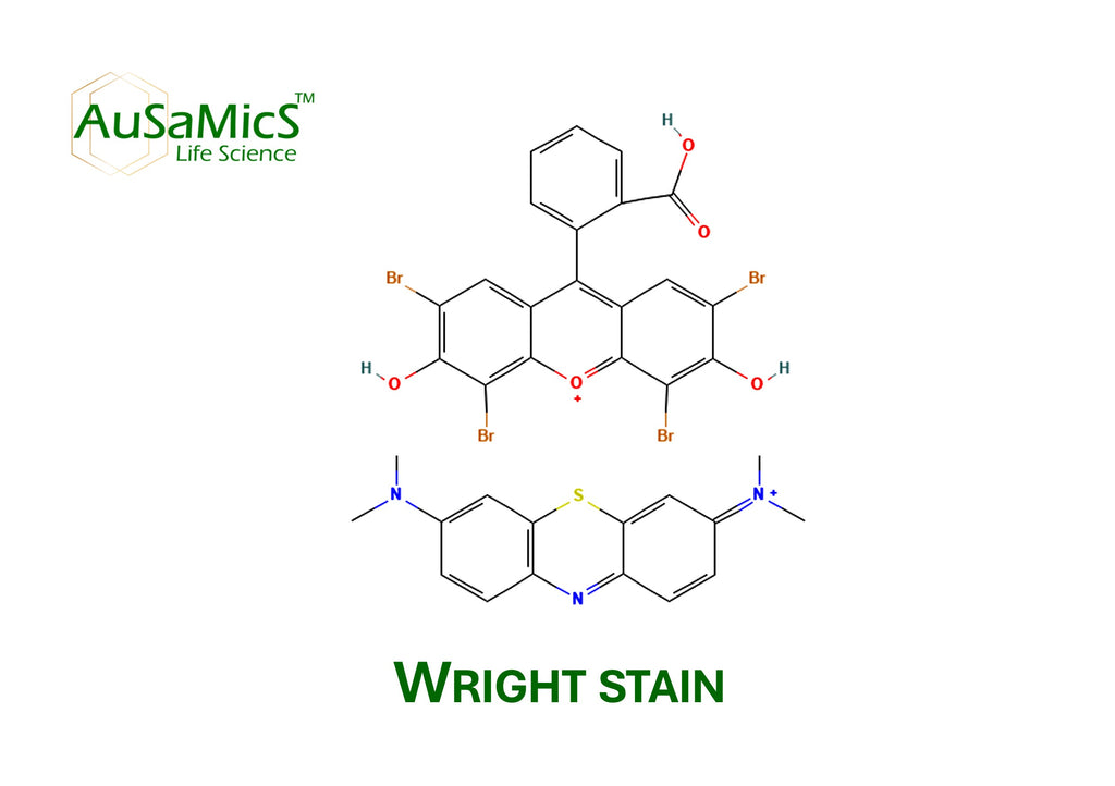 Wright Stain Powder | Romanowsky Blood Smear Stain | Ausamics
