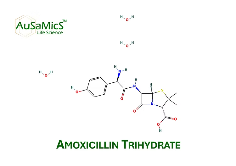 Amoxicillin trihydrate white crystalline powder research grade AS-2047 Ausamics
