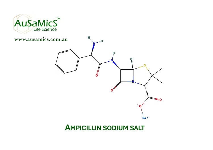 Ampicillin sodium salt research grade powder AS-2044 for microbiology and molecular biology use
