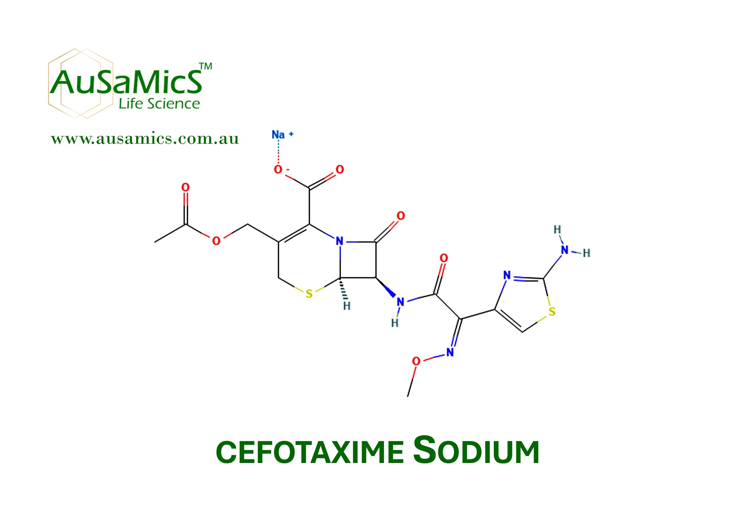 Cefotaxime Sodium Salt (CAS 64485-93-4) | Research Grade Cephalosporin Antibiotic
