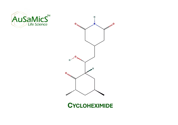 Cycloheximide research-grade powder used to inhibit fungal growth in laboratory studies
