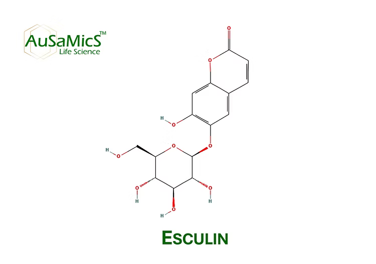 Esculin Anhydrous | Coumarin Derivative (Research Grade) | Ausamics ...