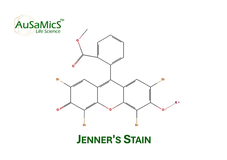 Jenner’s Stain eosin–methylene blue powder for blood smear and cytology staining