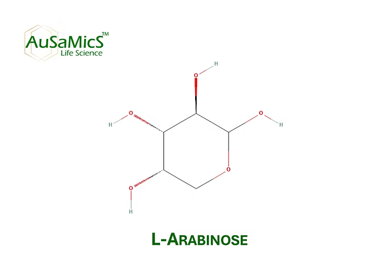 L-arabinose pentose sugar powder for food, fermentation, and laboratory use
