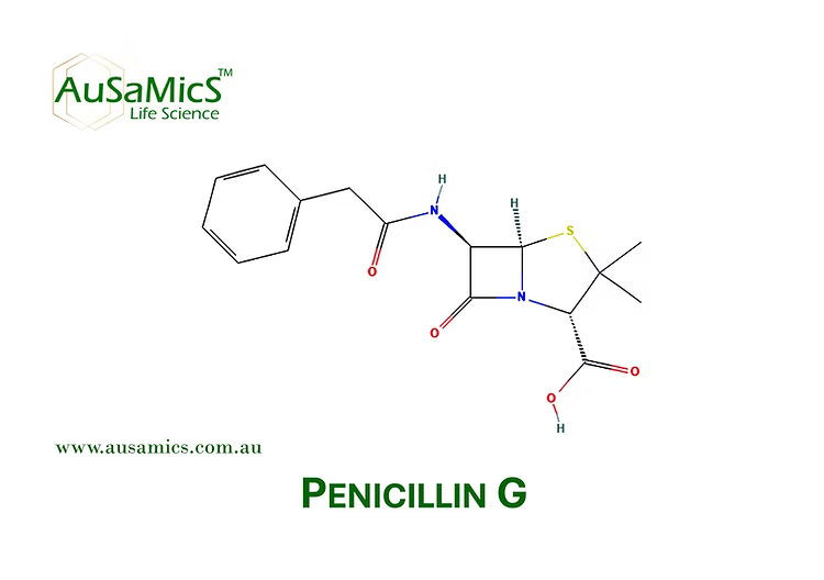 Penicillin G sodium salt research-grade powder for microbiological and laboratory use
