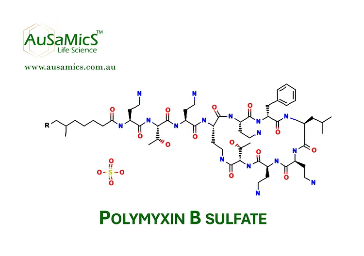 Polymyxin B sulfate research-grade powder for microbiological laboratory use
