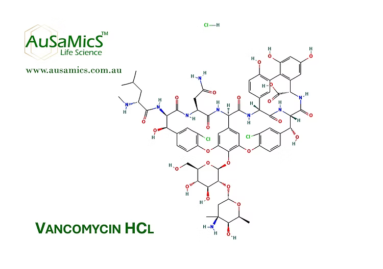 Vancomycin hydrochloride research-grade powder for microbiological laboratory use
